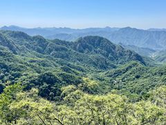 -大岭沟猕猴桃谷风景区