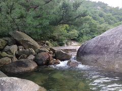 -无染寺
