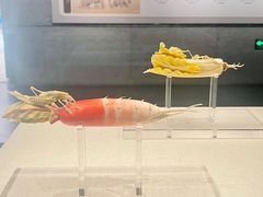 -河南博物院