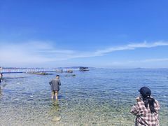 -养马岛旅游度假区
