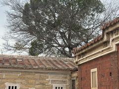 -蔡氏古民居建筑群