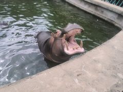 -哈尔滨北方森林动物园