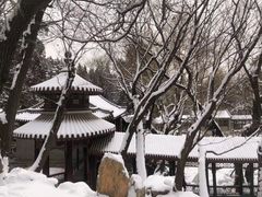 -颐和园