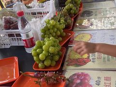 -马陆小张葡萄园农家乐