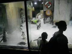 -大连圣亚海洋世界