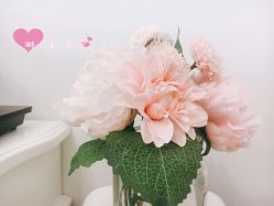 点击看大图 -美肤盾祛痘·问题肌头疗管理中心