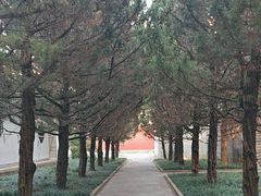 -南岳衡山风景名胜区-南岳大庙