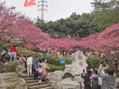 -重庆彩云湖湿地公园