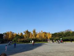 -朝阳公园游乐园