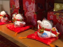 -猫咪博物馆(顶澳仔猫街店)