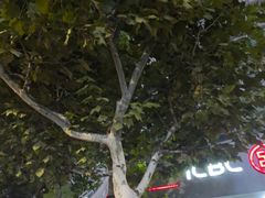 -中国工商银行(长寿路支行)