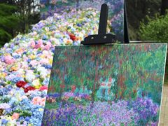 -上海共青森林公园