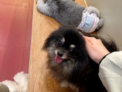 -和它·交个朋友·狗咖猫咖(爱琴海店)