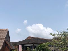 -亚龙湾热带天堂森林公园
