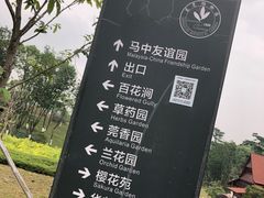 -东莞植物园