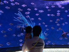 -沈阳海洋探索中心