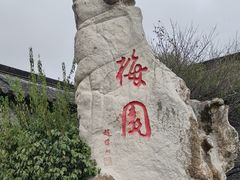 -梅园