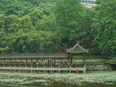 -龙头寺公园