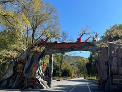 -参仙谷生态旅游度假区