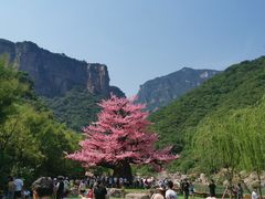 -河南宝泉旅游区
