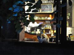 -看书吧(体育东横路店)