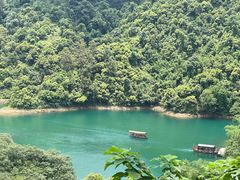 -鼎湖山风景区