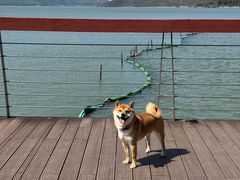 -东钱湖旅游度假区