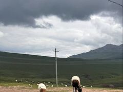 -青海湖国家重点风景名胜区