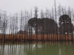 -苏州太湖国家湿地公园