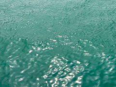 -海港城