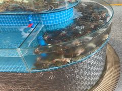 -蓝珊甄选海鲜自助·火锅大排档(近阿那亚店)