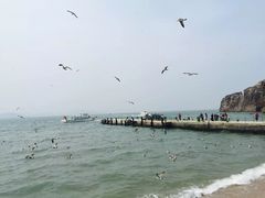 -海驴岛(荣成市)