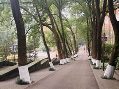 -忠山公园