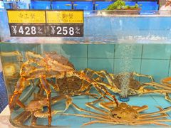-莆鑫海鲜城(浏河店)