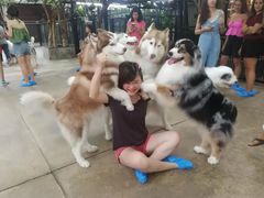 -TrueLove @ Neverland (Husky Cafe)