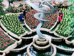 -南山植物园