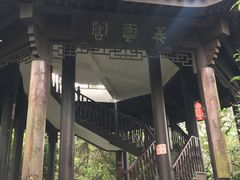 -杭州半山国家森林公园