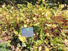 -广州神农草堂中医药博物馆