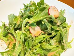 -燕郊烧鸽子(酷车小镇店)