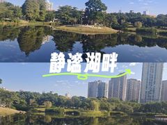 -四海公园(南山区)