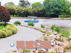 -周浦公园