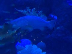 -成都浩海立方海洋公园