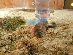 -酷嗒动物文化乐园(cutezoo西溪乐天城店)