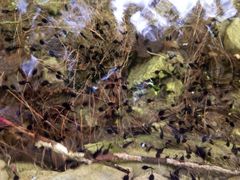 iphone_upload_pic-灵溪风景区