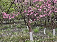 -福清灵石山国家森林公园