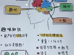 -Apple零售店(苏州店)