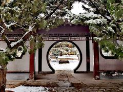 -团结湖公园