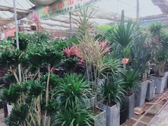 -秦美花卉(天朗·莱茵小城2期店)