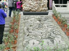-乐山乌木文化博览苑