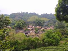 -杨家堂村